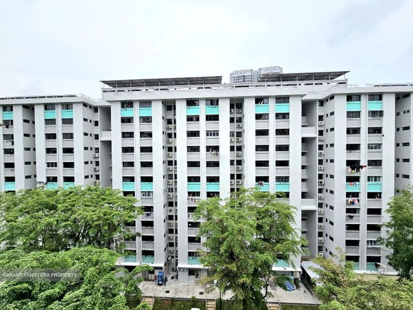 Blk 307 Clementi Meadows (Clementi), HDB 3 Rooms #632469531